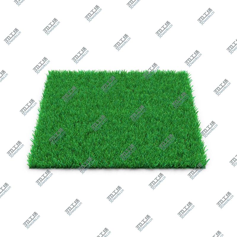 images/goods_img/2021040231/Grass Fields Collection/4.jpg